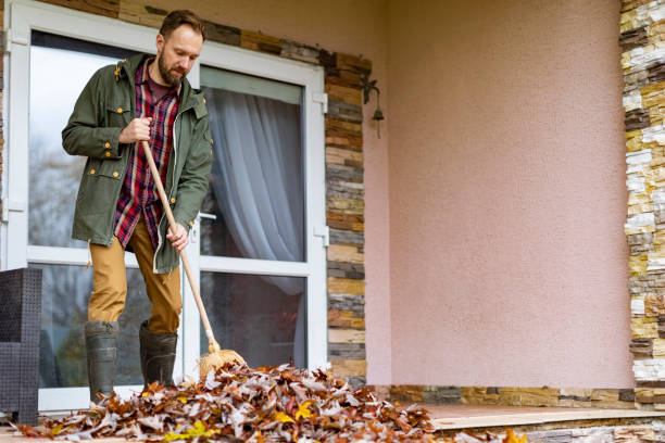 Best Junk Removal Near Me  in Escanaba, MI